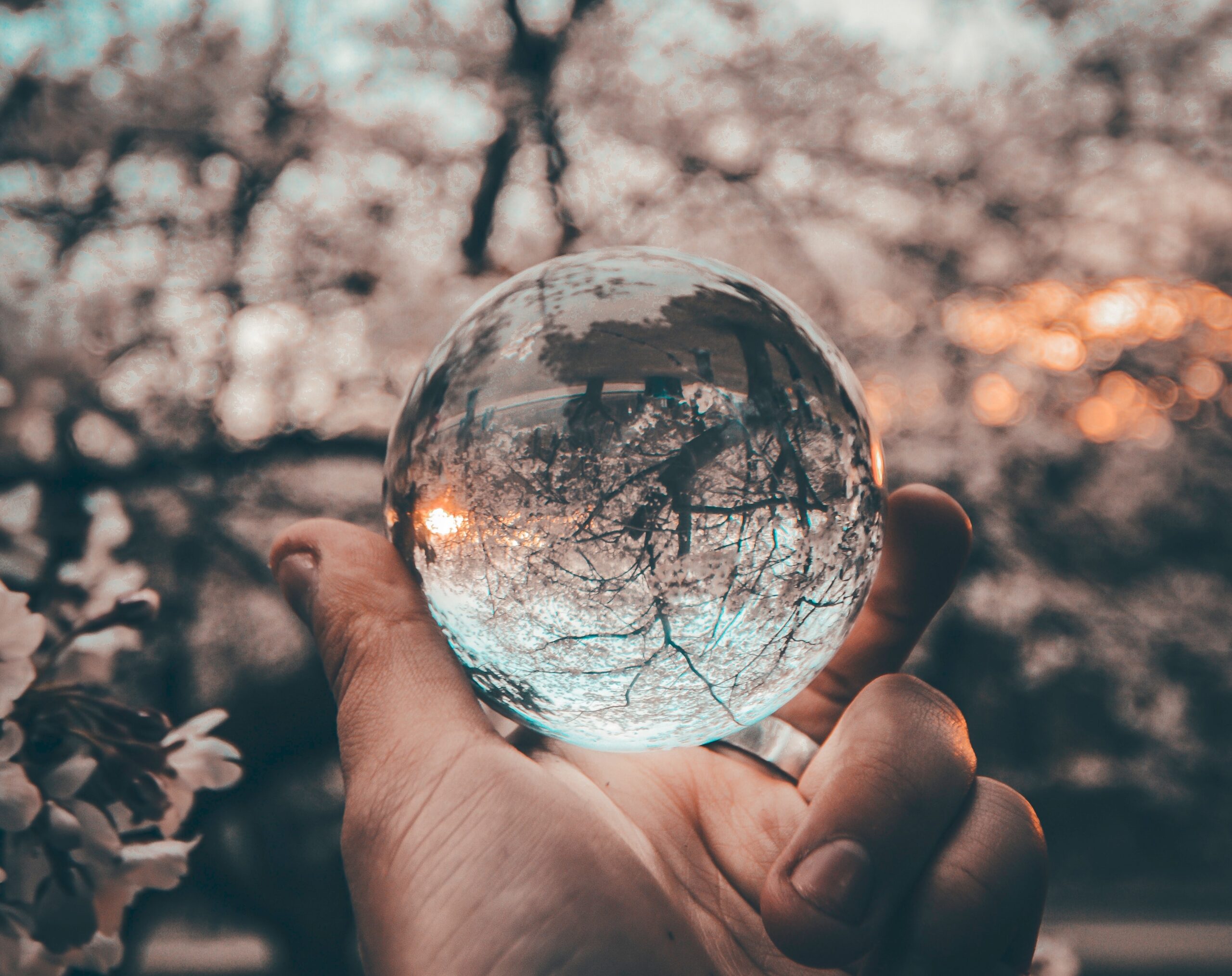 Reflexion_unsplash Hand mit Kugel in der sich ein Baum spiegelt