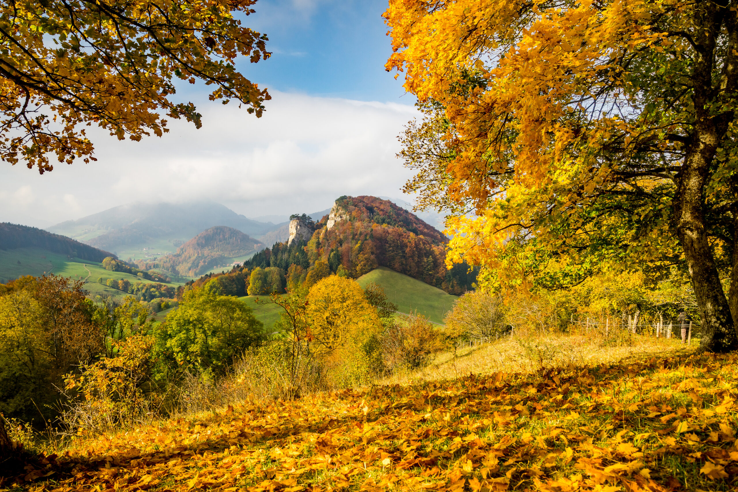 Herbstliche Farbtöne, Laub und Bäume im Vordergrund, im Hintergrund sanfte grüne Hügel und bewaldete Felskuppen