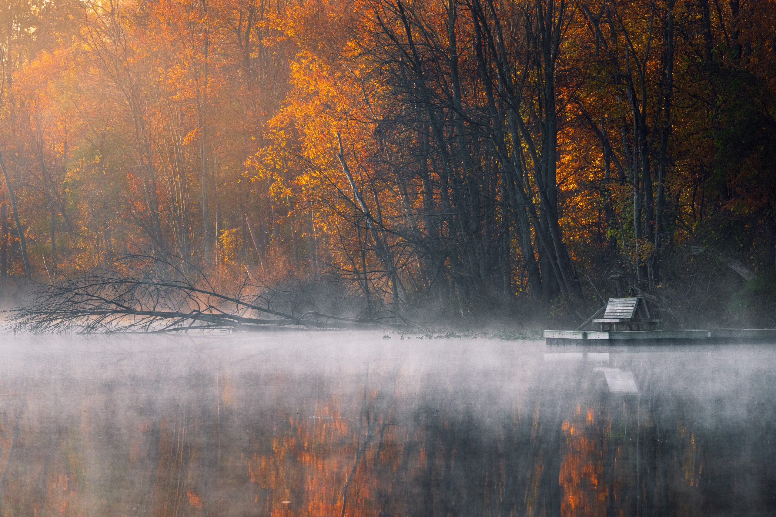 Morning at the Lake